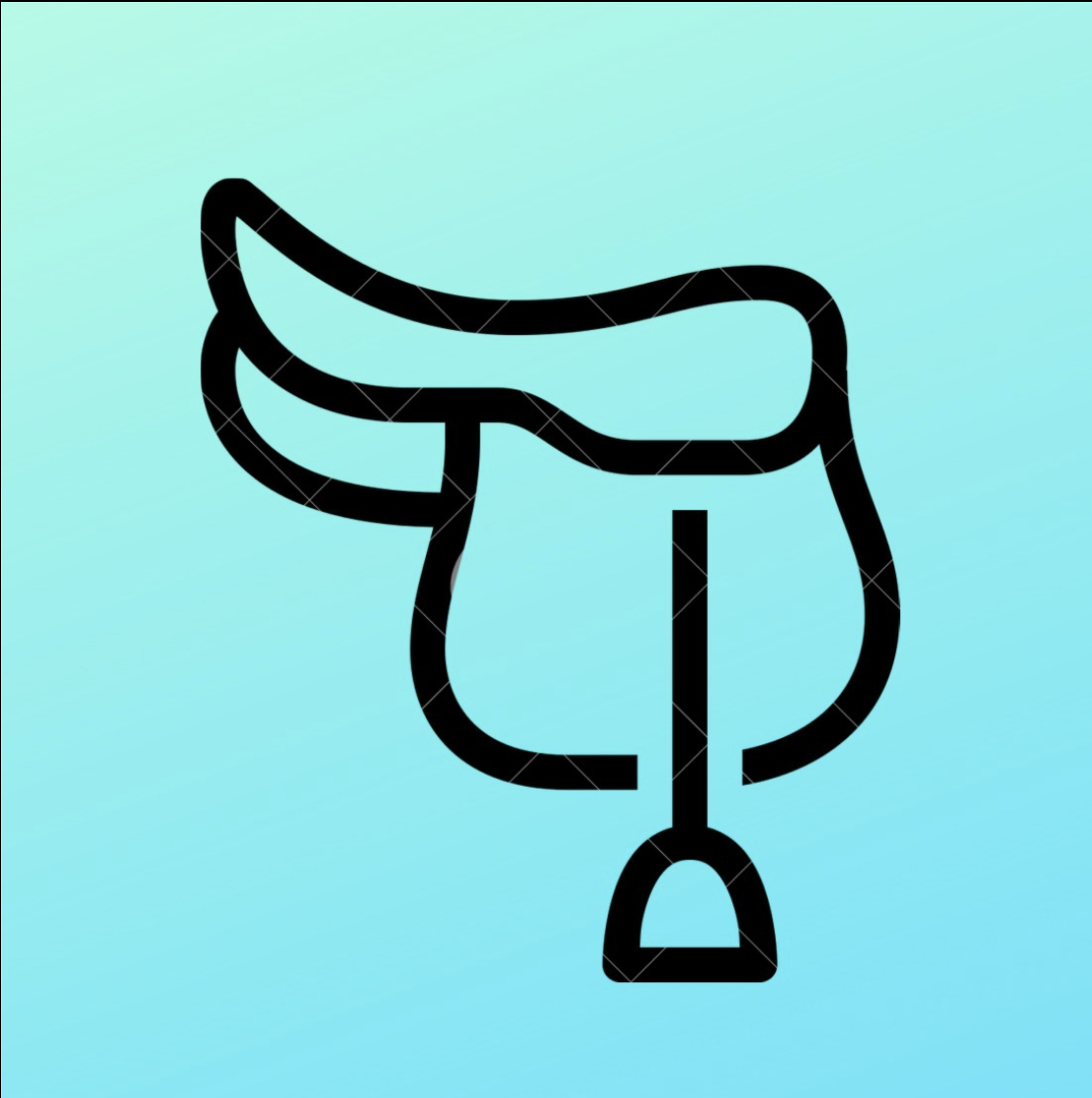 Saddle Fitting Auvergne