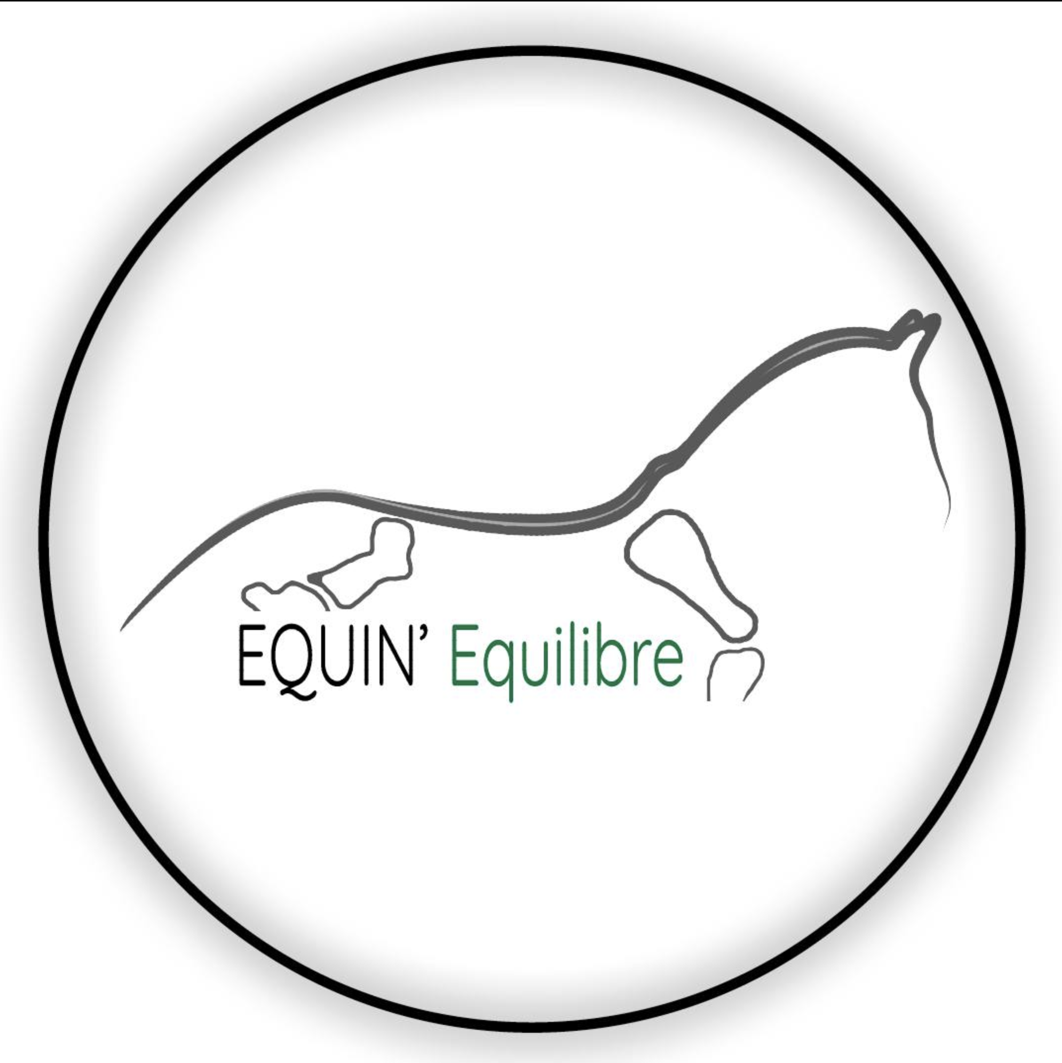 Equin'equilibre